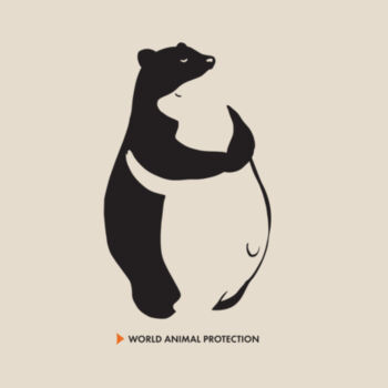 Panda bears - Infant mini-me one-piece Design