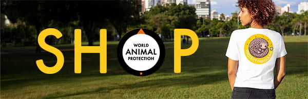 World Animal Protection shop