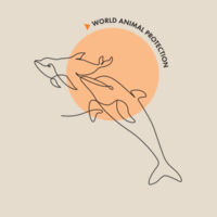Organic tee shirt (womens) - Dolphins Design