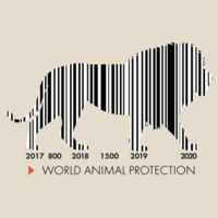Canvas Tote Bag - Lions Design
