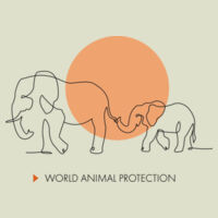 Kids organic t-shirt: Elephants belong in the wild Design