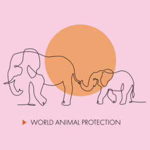 Kids wee t-shirt: Elephants: Wild Animals Belong in the Wild Design