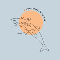 Kids organic t-shirt: Dolphins: Wild Animals Belong in the Wild Design