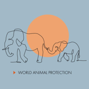 Women's t-shirt: Elephants belong in the wild Design