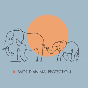Women's t-shirt: Elephants belong in the wild Design