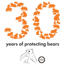 30 Years of protecting bears - Stainless Bottle with Straw Top Design