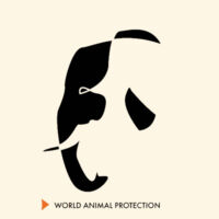Shoulder tote bag: Elephants belong in the wild Design