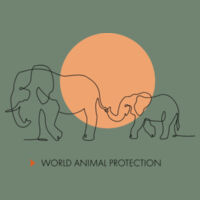 Kids youth t-shirt - Elephants Design
