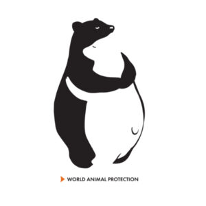 Panda bears - Kids long sleeve tee Design