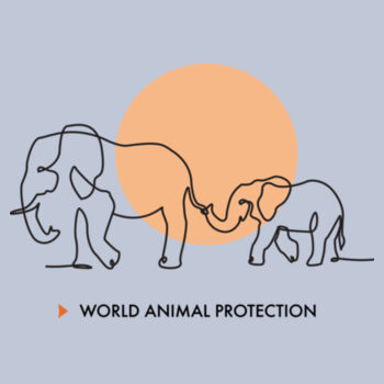 Bucket hat: Elephants in the Wild Design