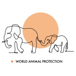 Elephants keyring Design
