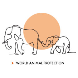 Elephants pet tag Design