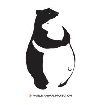 Bear Hug Stainless Steel Bottle Design