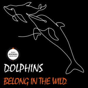 Kid's Surf Cap: Dolphins Belong in the Wild Design