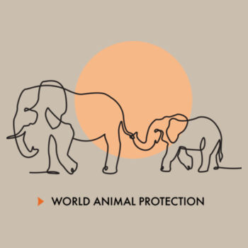 Surf Cap: Elephants Design