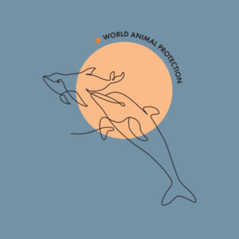 Denim Tote Bag: Dolphins Design