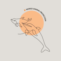 Women's Heavy Faded Crop Tee: Dolphins Design
