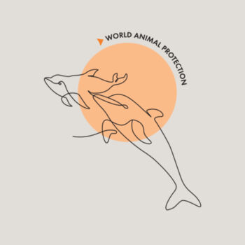 Women's Heavy Faded Crop Tee: Dolphins Design