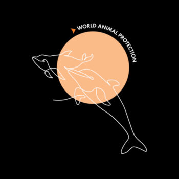 Women's Relax Crop Hood: Dolphins Design