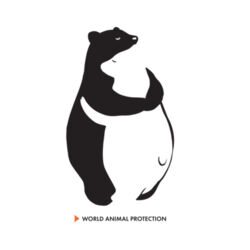 Dog Tank Top: Bear Hug Design