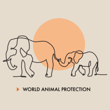 Two-tone cap: Elephants Design