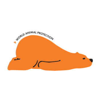 Pillowcase: Sleeping bear Design