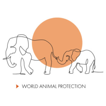 Women's Organic Tee: Elephants Design