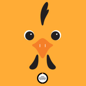 Chicken: Kids t-shirt Design