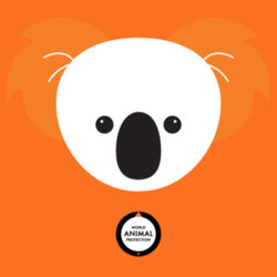 Koala: Mug Design