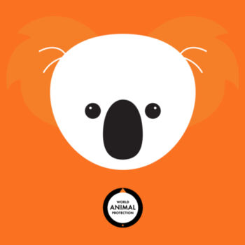 Koala: Mug Design
