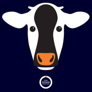 Men's Organic Tee: Cow Design