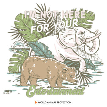 Kids Long Sleeve Tee: I'm Not Here For Your Entertainment Design