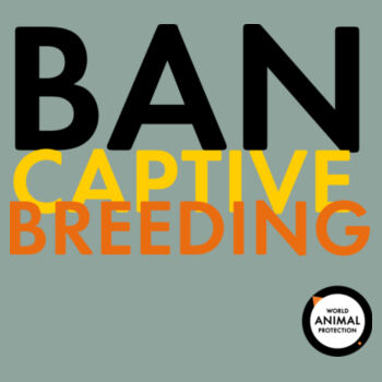 Men's Tee: Ban Captive Breeding Design