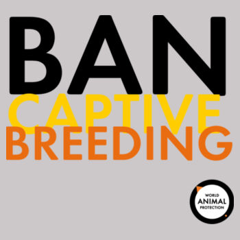 Women's Hoodie: Ban Captive Breeding Design