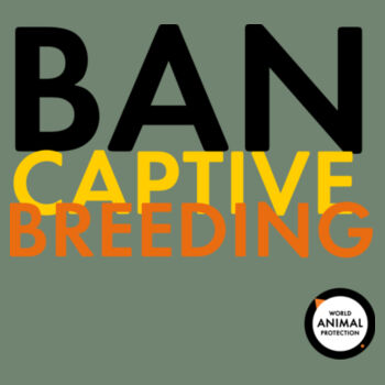 Kids Tee: Ban Captive Breeding Design