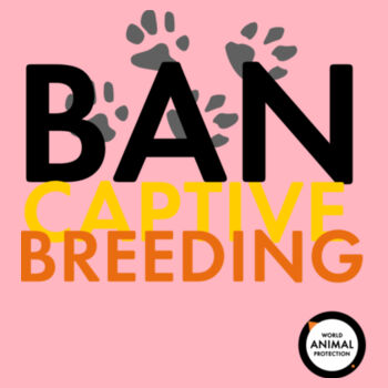 Kids Hoodie: Ban Captive Breeding - Paws Design