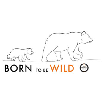 Men's Tee: Born to be Wild Bears Design