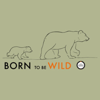 Women's Hoodie: Born to be Wild Bears Design