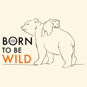 Tote Bag: Bears - Born to be Wild Design