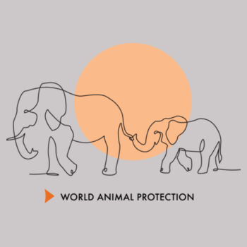 Men's Hoodie: Wandering Elephants Design