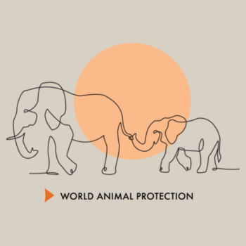 Women's Hoodie: Wandering Elephants Design