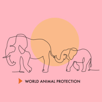 Kids Hoodie: Wandering Elephants Design