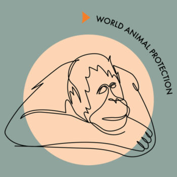 Women's Tee: Orangutan Design
