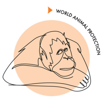 Kids tee: Orangutan Design