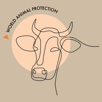 Kids Tee: Cow Line Drawing Design