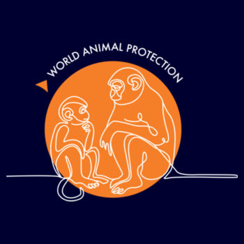 Women's Hoodie: Monkeys Design