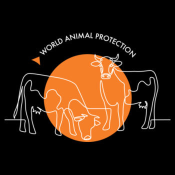 Men's Hoodie: Cows Design