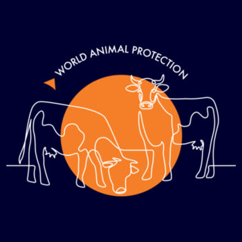 Women's Hoodie: Cows Design