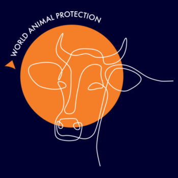 Men's Hoodie: Cow Line Drawing Design