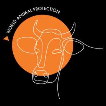 Women's Hoodie: Cow Line Drawing Design
